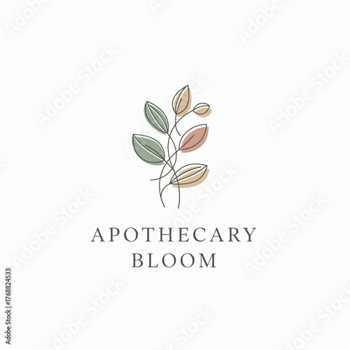 Minimalist botanical design with leaves of varying colors and delicate lines. Text below reads "Apothecary Bloom