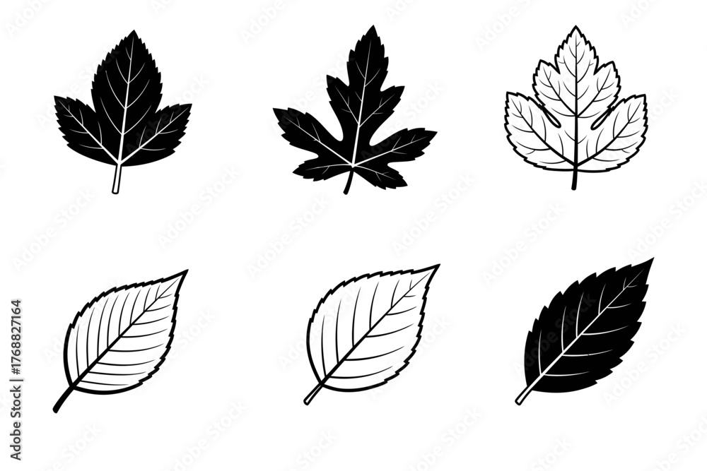 Fototapeta premium A collection of various leaf silhouettes showcasing diverse shapes and sizes against a white background