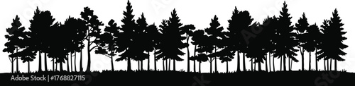 Forest silhouette illustration, conifer tree vector, dense woodland design, black and white nature art, flat terrain foliage, graphic landscape element