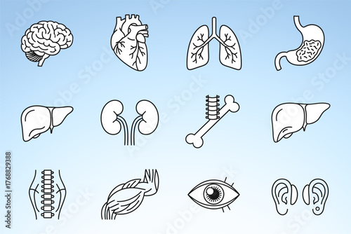 Illustration of human anatomy featuring brain, heart, lungs, stomach, liver, kidneys, spine, muscle, eye, and ears on a gradient background