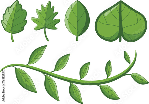 green leaves vector