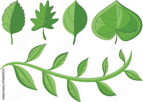 green leaves vector