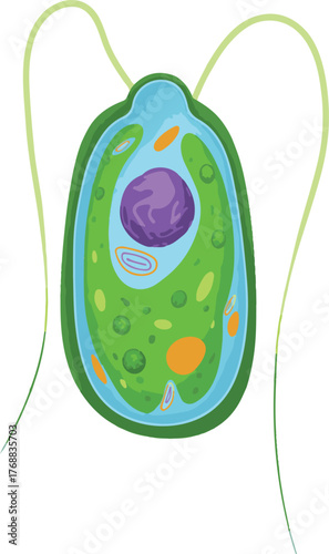 vector illustration of an abstract background with leaves