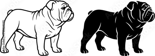 Bulldog, black and white vector, outline and silhouette versions