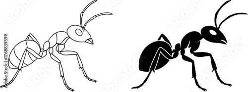 Ant, black and white vector, outline and silhouette versions