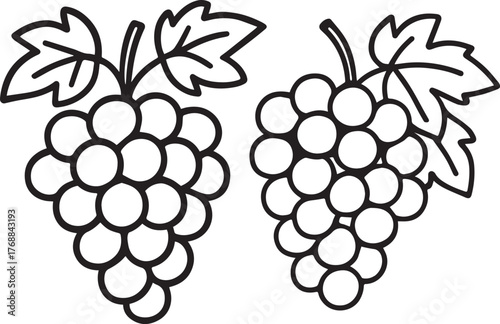 Simple line art grapes clusters with leaves fresh fruit produce agricultural harvest food natural wholesome silhouette
