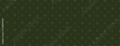 Dark green geometric background with a textured pattern. The background features green lines forming intricate shapes on a green surface. Minimal geometric star vector pattern background