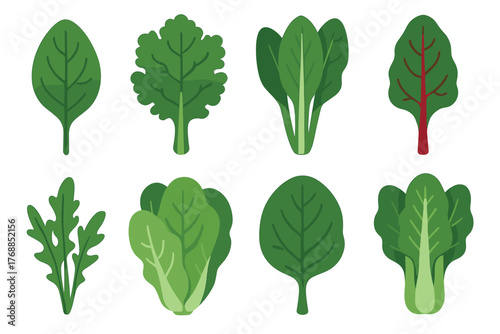 Eight distinct green leafy vegetables, including spinach, kale, and arugula, illustrated with various shapes and shades of green.