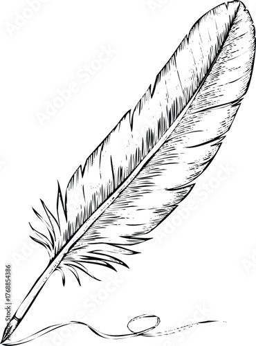 Feather engraving art design