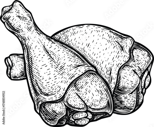 Raw chicken legs and thighs engraving art design