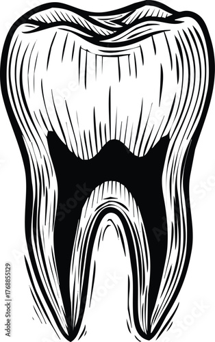 Engraved tooth engraving art design