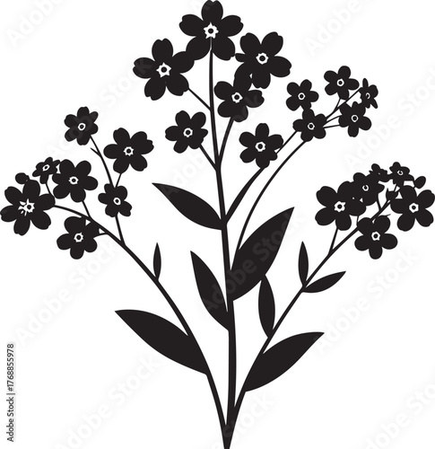  Elegant Forget Me Not Silhouette Vector Illustration