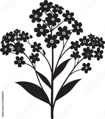  Elegant Forget Me Not Silhouette Vector Illustration