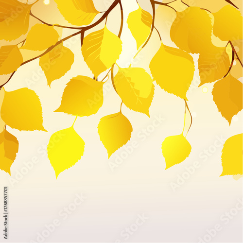 Autumn background with yellow leaves back to school vector illustration
4