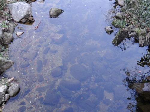 Vászonkép Clear water revealing stones on riverbed