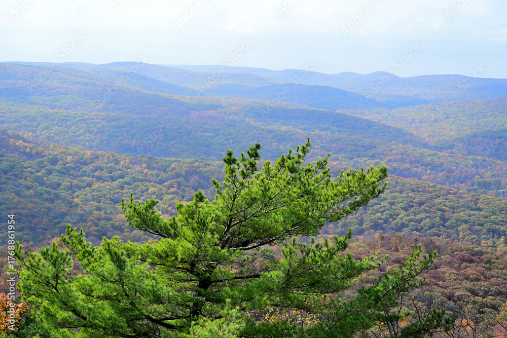 Naklejka premium Rolling ridges of Bear Mountain in early autumn