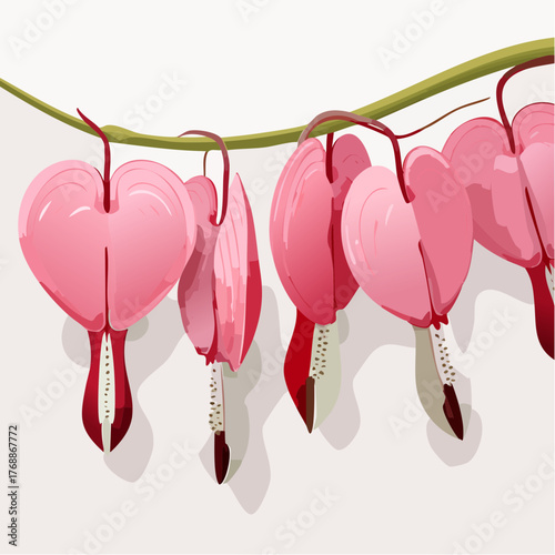 A realistic fresh bleeding heart flowers with leaves
4