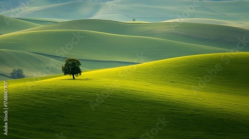 Fototapeta Naklejka Na Ścianę i Meble -  landscape with green grass 