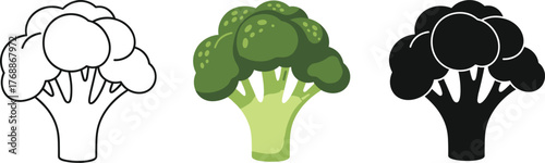 Healthy Green Broccoli Stalk Vector Illustration - Organic Vegetable