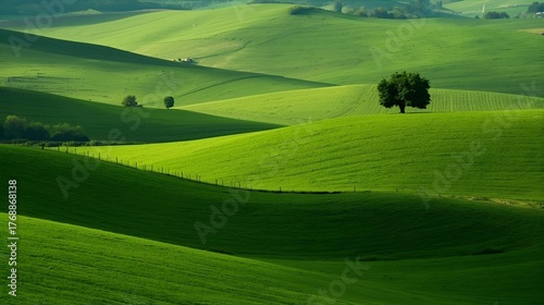 Fototapeta Naklejka Na Ścianę i Meble -  landscape with green grass 