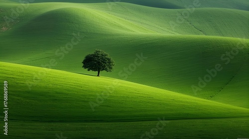 Fototapeta Naklejka Na Ścianę i Meble -  landscape with green grass 