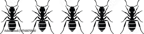Black ant silhouette pattern in a row, isolated insect vector illustration, pest control, nature design, wildlife concept, entomology art graphic