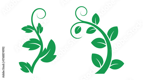 Two green stylized plant branches with leaves and curls leaf