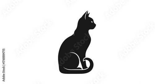 A sleek black cat sits gracefully, its silhouette defined against a pristine white surface.