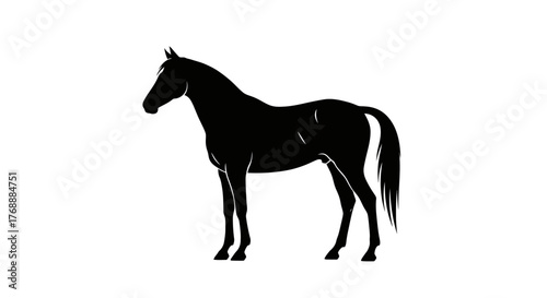 A dark silhouette of a horse stands gracefully against a bright white field, showcasing its elegant.