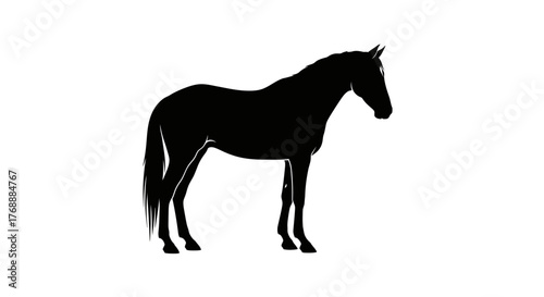 A sleek black silhouette of a majestic horse stands gracefully against a stark white canvas.