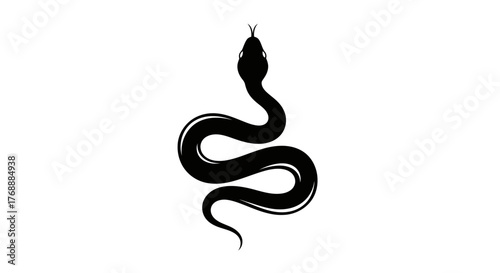 A black snake is coiled and ready to strike, its silhouette stark against the white surface.