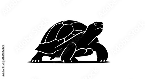 A black turtle with a patterned shell walks slowly across a white surface, showcasing its unique.