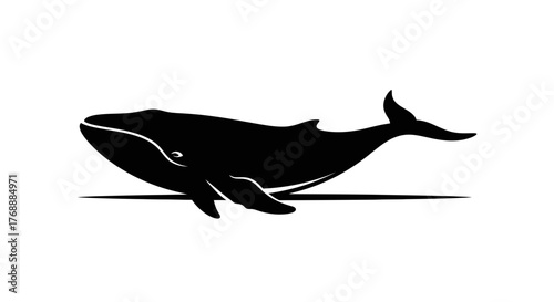 A simple graphic shows a whale in silhouette swimming across a white surface, evoking marine life.