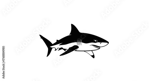 A fierce shark swims powerfully, showcasing its sleek body and sharp teeth against a plain white.