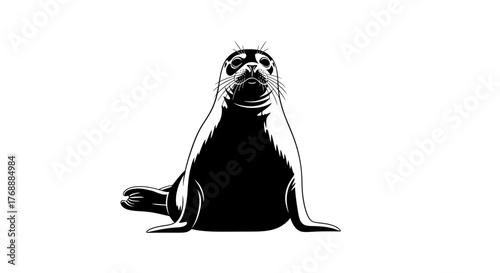 A monochrome image shows a seal sitting upright, looking directly forward with a curious expression.