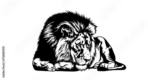 A majestic lion is resting peacefully, its powerful form captured in monochrome artistry, showcasing.