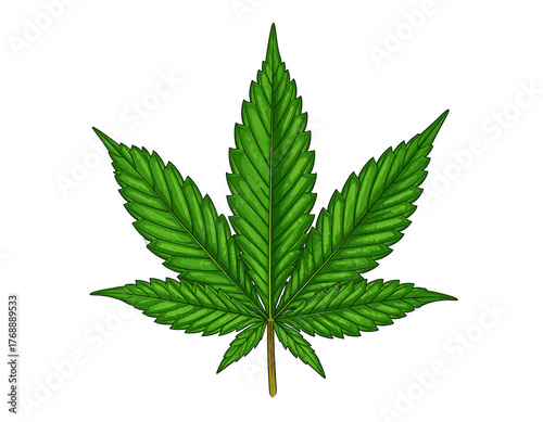 Stylized symmetrical seven-pointed green leaf with vein details centered against a dark black background