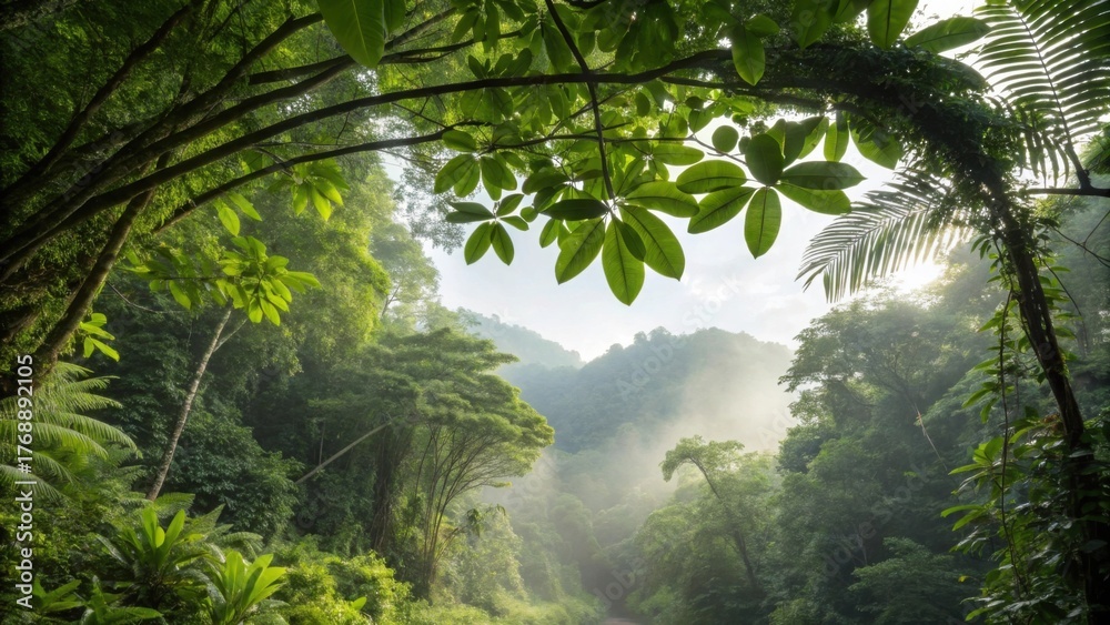 Naklejka premium A Lush Tropical Jungle Canopy Reaching Towards the Sky