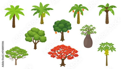 Set of tropical exotic trees vector illustrations, isolated on white background, palm, papaya, baobab, mango