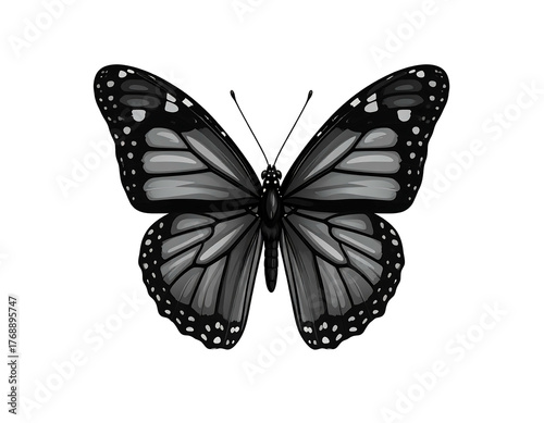 Grayscale butterfly art. Intricate patterns and delicate wings presented on a stark black background. Elegant and detailed