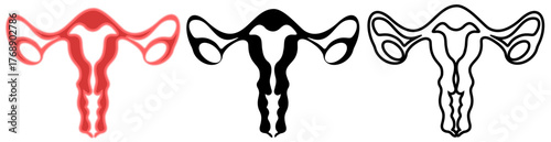 set Female reproductive icon. uterus symbol vaginal sign design illustration