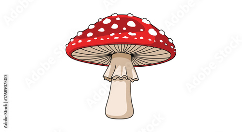 Illustration of a red mushroom with white spots, featuring a wide cap and a white stem with a ruffled collar.