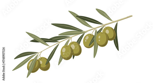 A sprig of green olives with leaves on a white background.