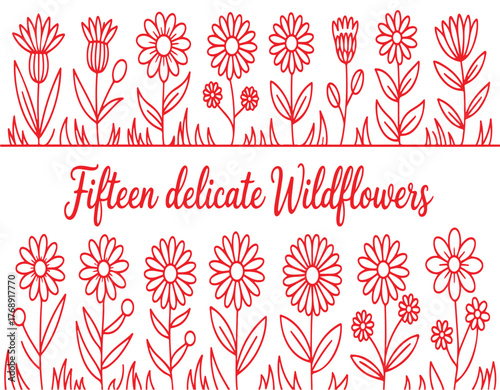 Fifteen delicate wildflowers, hand-drawn in a red outline style, with grass accents, perfect for spring and summer designs