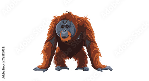 A detailed illustration of an orangutan with reddish-brown fur and a grey face, standing in a natural pose and looking forward.