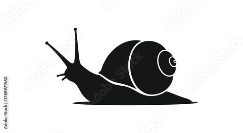 Simple black silhouette of a garden snail with its shell and antennae on a white background