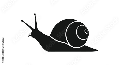 A simple black silhouette of a garden snail with its shell and antennae clearly defined against a white background silhouette