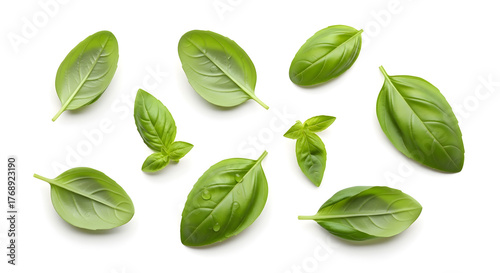 green leaves isolated on white