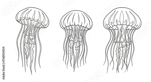 Simple line drawing of three jellyfish with flowing tentacles illustrated