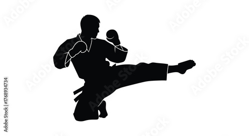 Dynamic silhouette of a martial artist performing a powerful side kick in a combat stance silhouette